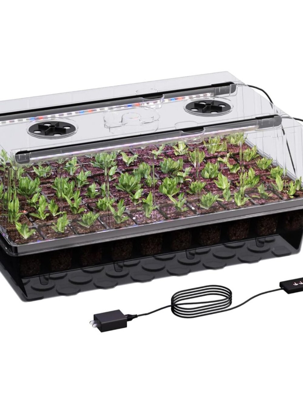 60-Cell Self-Watering Seed Starter Tray with Grow Light, Seed Starter Kit with 4